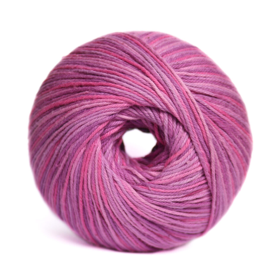 Carnival – 250g – 504
